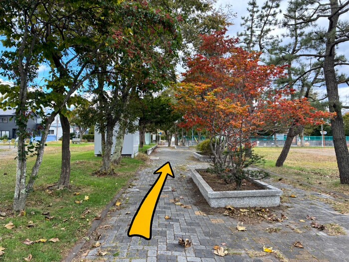 紅葉する木々の間を抜ける石畳の歩行者用通路